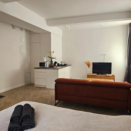 Apartment Mazvydo Alejos Self Check-in