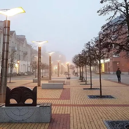 Mazvydo Alejos Self Check-in *