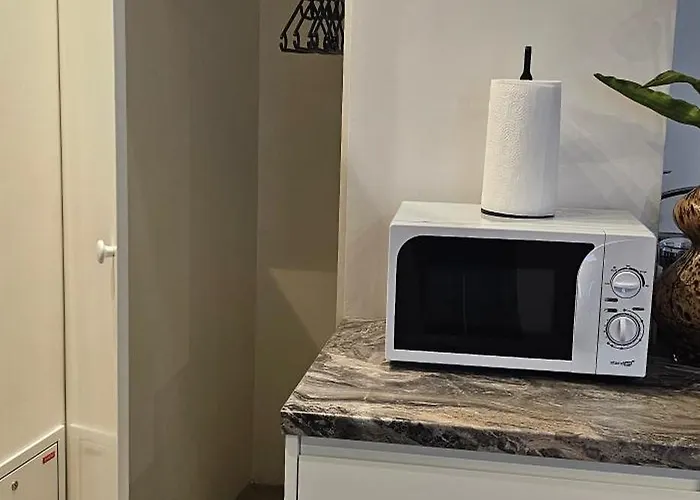 Mazvydo Alejos Self Check-in *