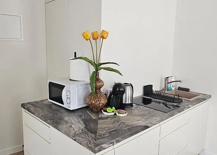 Mazvydo Alejos Self Check-in Klaipėda