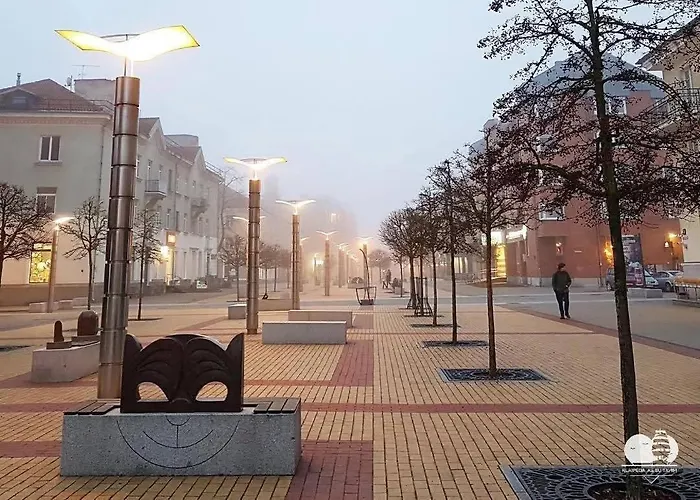 Mazvydo Alejos Self Check-in *